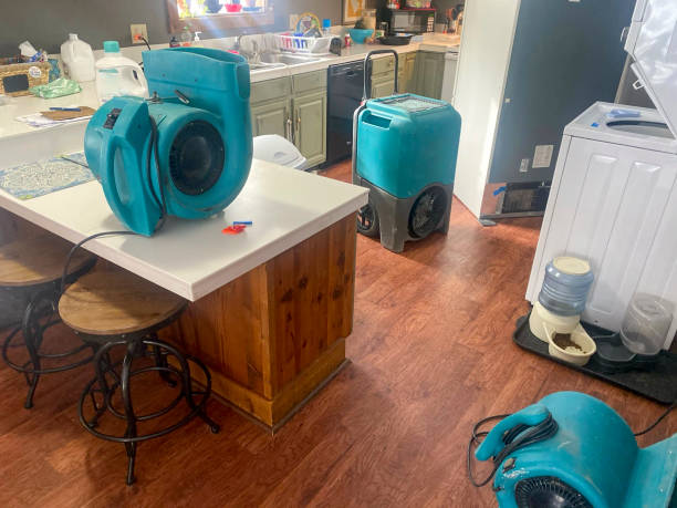 Best Water damage restoration near me  in Kissee Mills, MO