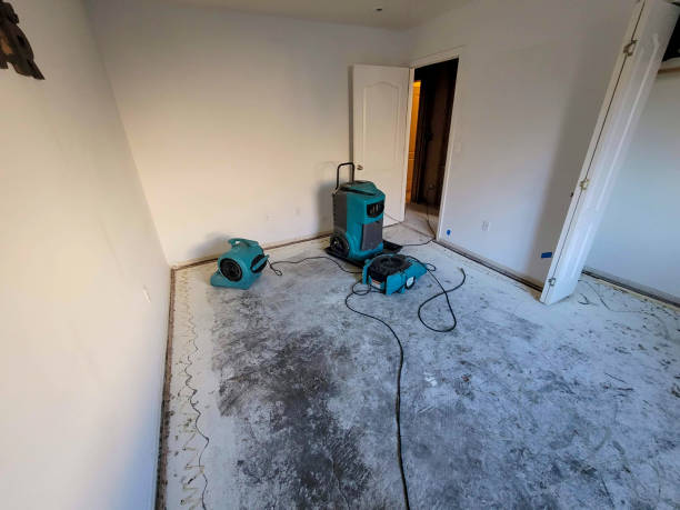 Best Flood restoration services  in Kissee Mills, MO