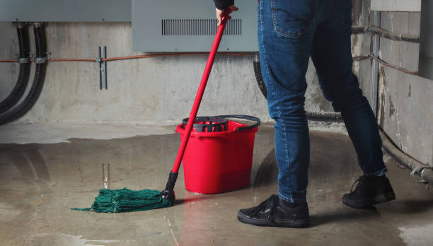 Best Sewage cleanup and water damage restoration  in Kissee Mills, MO