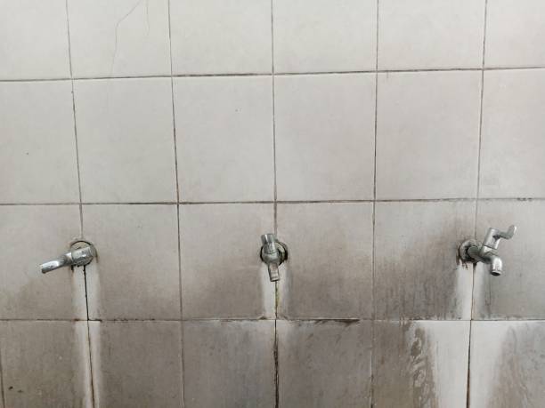  Kissee Mills, MO Water damage restoration Pros