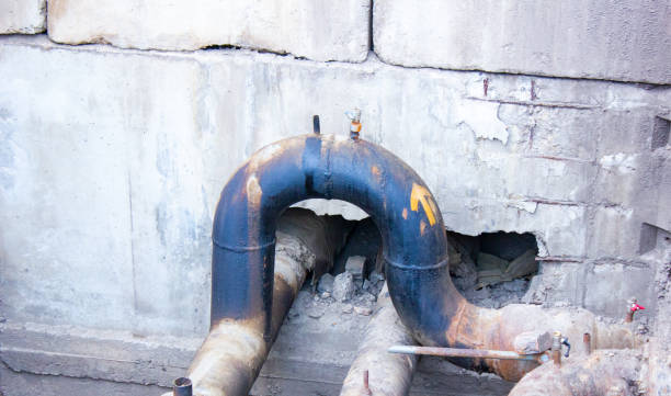 Best Basement water damage restoration  in Kissee Mills, MO