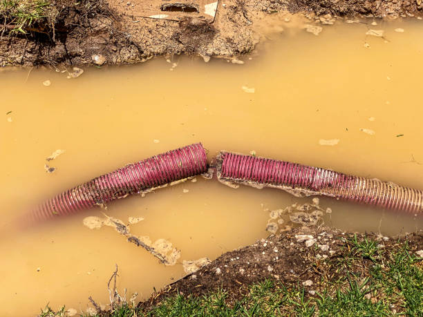 Best 24/7 water damage repair  in Kissee Mills, MO