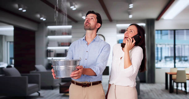 Best Residential water damage restoration  in Kissee Mills, MO